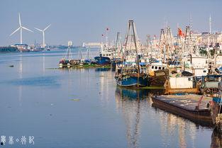 2024小洋口码头最新爆料,揭秘最新爆料与未来展望